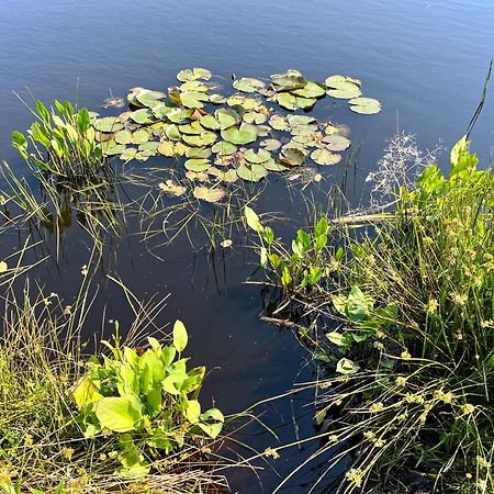 Landzicht Natuur Rust En Ruimte 우스터볼데 외부 사진