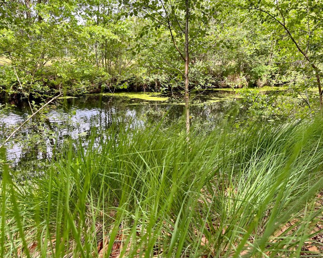 Landzicht Natuur Rust En Ruimte 우스터볼데 외부 사진