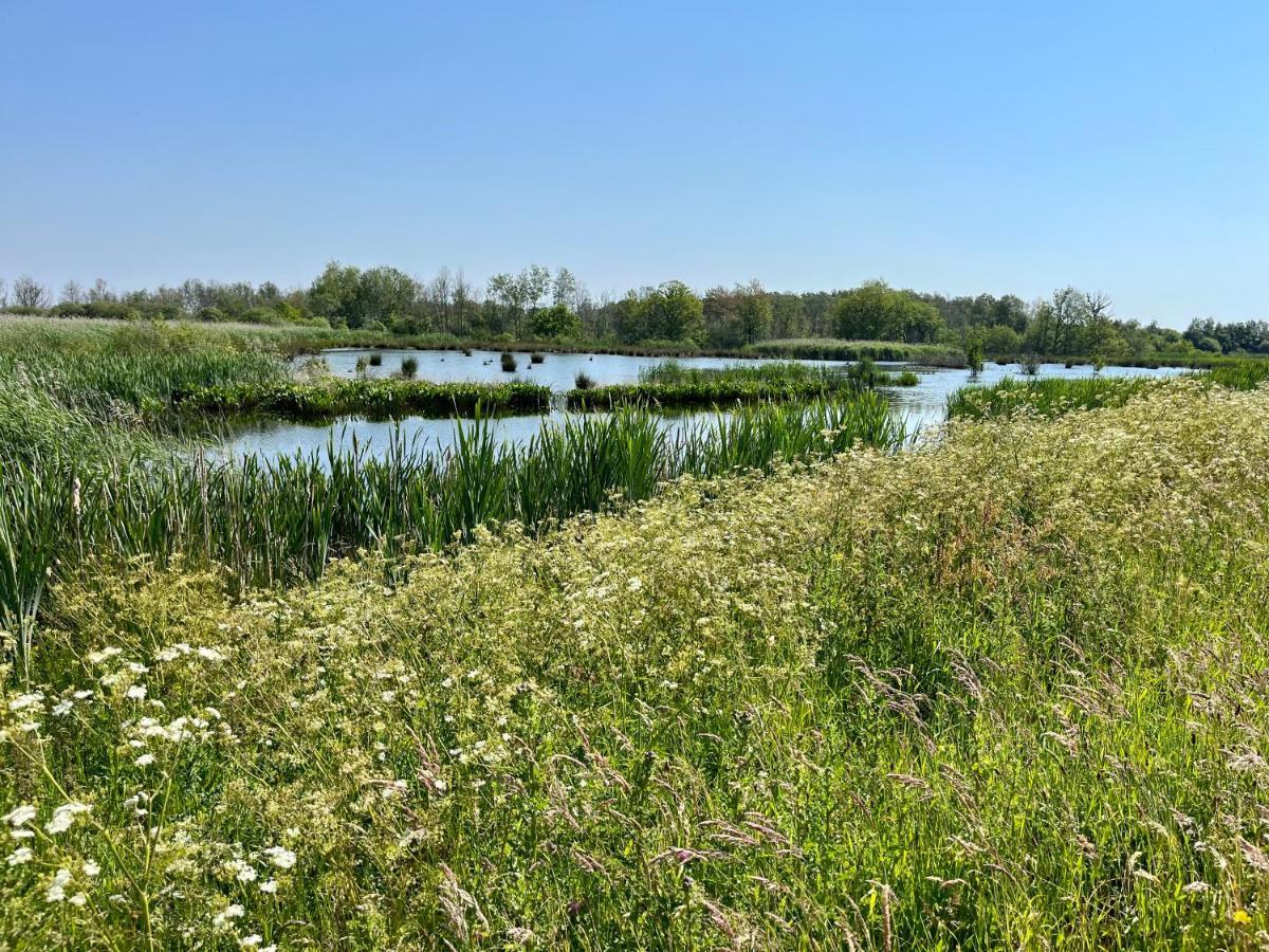 Landzicht Natuur Rust En Ruimte 우스터볼데 외부 사진