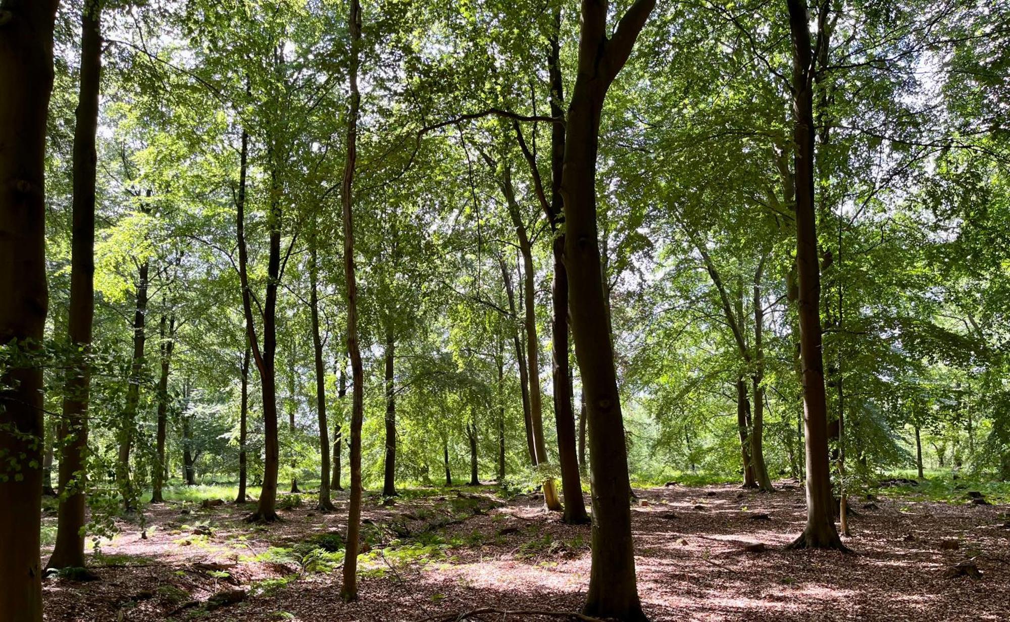 Landzicht Natuur Rust En Ruimte 우스터볼데 외부 사진